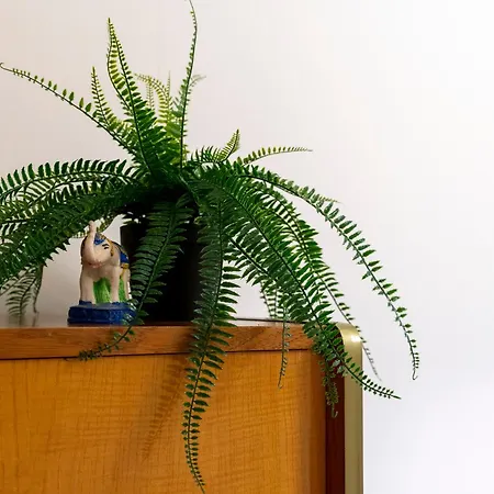 Le Nomade, Parc Montcalm Et Stationnement Prive Montpellier